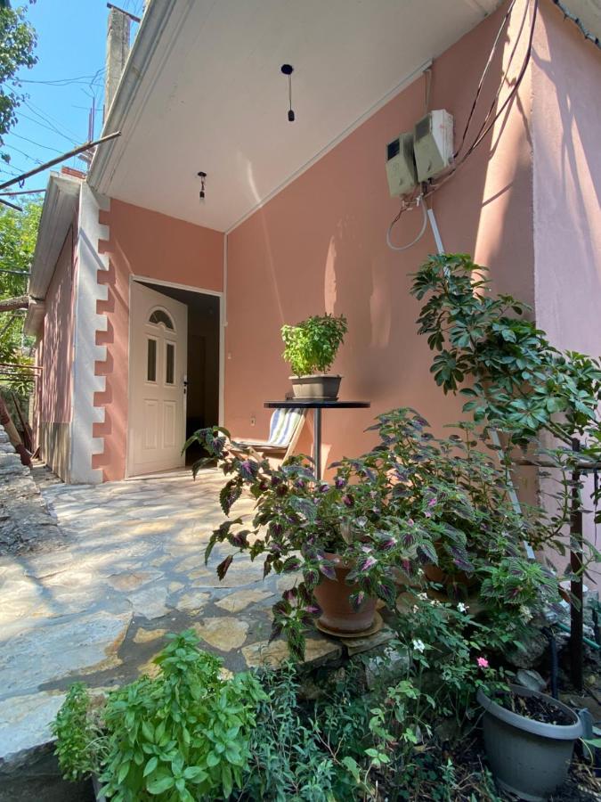 Gkiko'S Guest House Qeparo Dış mekan fotoğraf